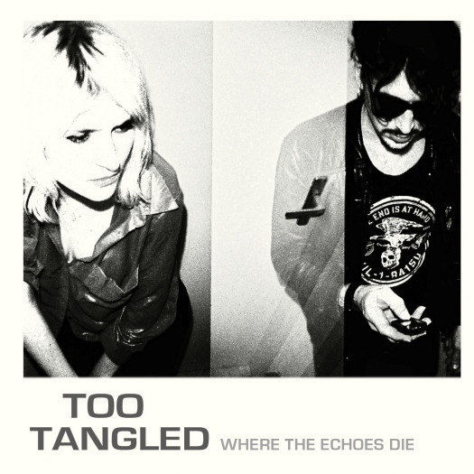 Too Tangled - Where The Echoes Die (CD, Album, Dig)